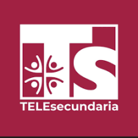 telesecundariadsyg.milaulas.com